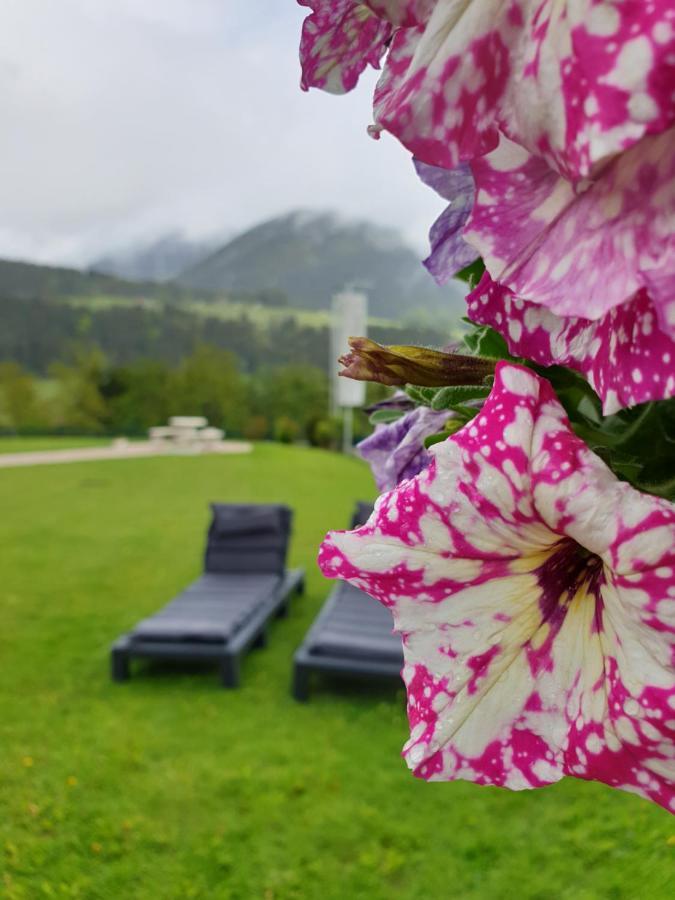 Vive Diem Haus im Ennstal Esterno foto